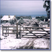 Snow near Haytor.